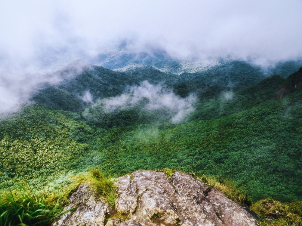 Exploring El Yunque Rainforest on a Road Trip in Puerto Rico