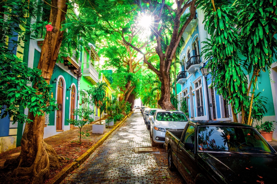Top Holiday Drives Across Puerto Rico for Every Traveller